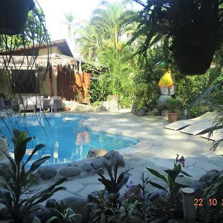 Hotel Caribbean Coconut Cahuita Buitenkant foto