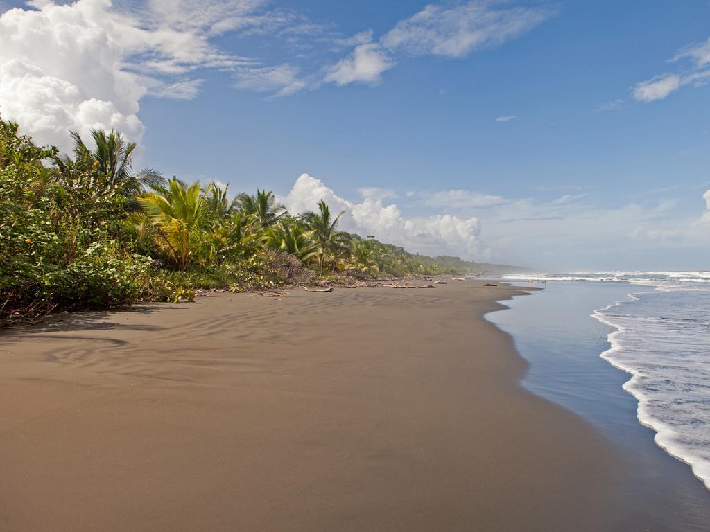 Hotel Caribbean Coconut Cahuita Buitenkant foto