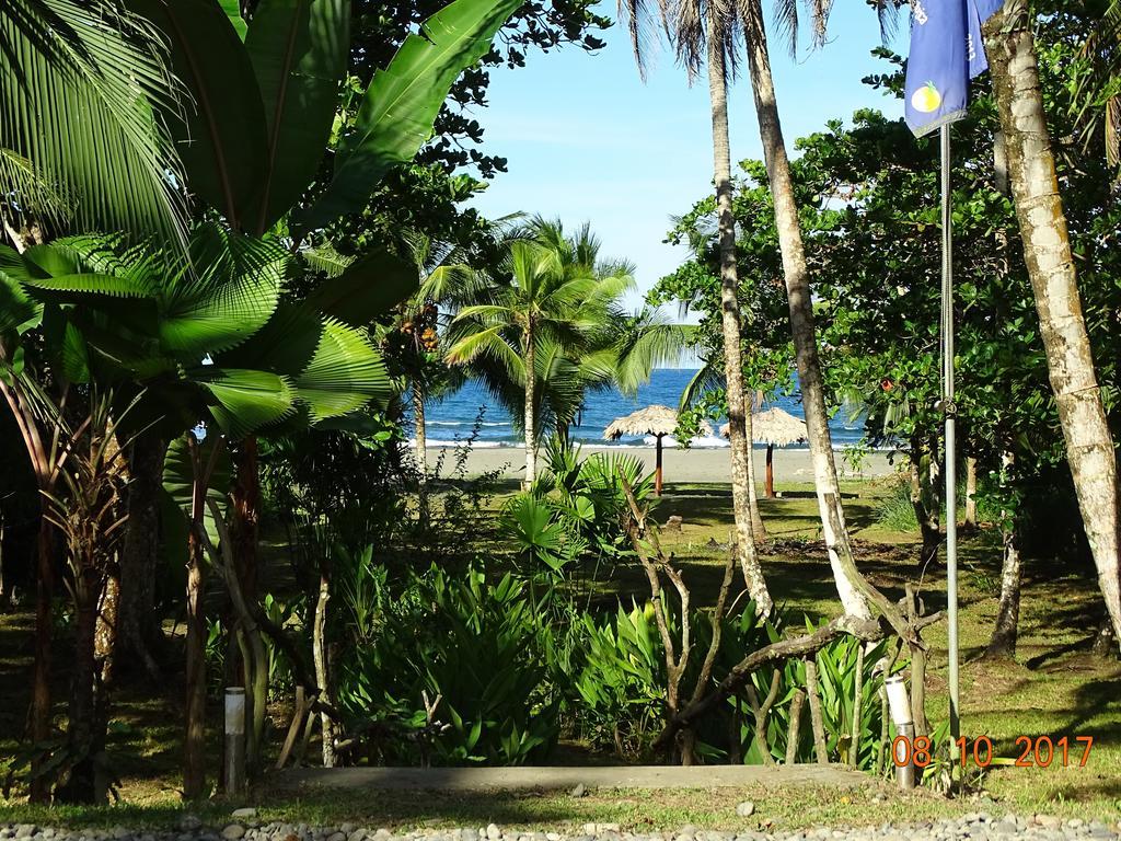 Hotel Caribbean Coconut Cahuita Buitenkant foto