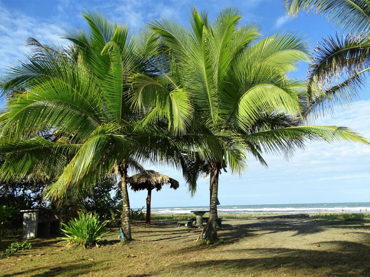 Hotel Caribbean Coconut Cahuita Buitenkant foto
