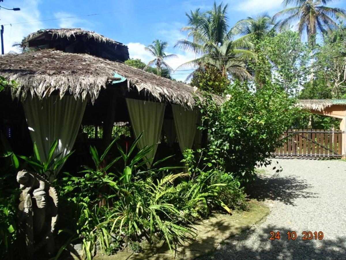 Hotel Caribbean Coconut Cahuita Buitenkant foto